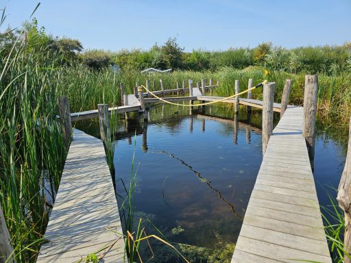 Wasserspielplatz 